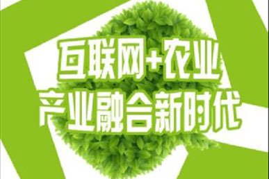 互联网农业到底该做什么？